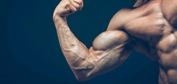 Build-muscle-pic