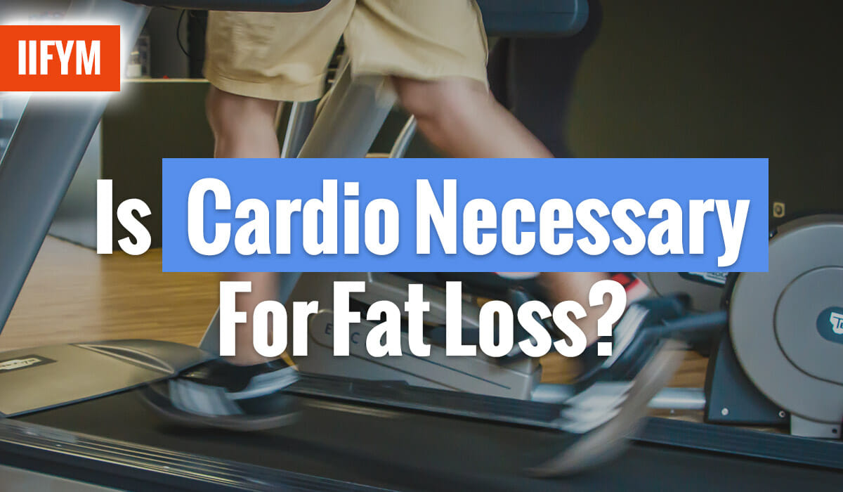 Is Cardio Necessary For Fat Loss Macro Diet Plan For Fast