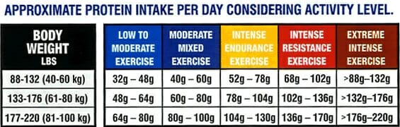 Protein-requirements-for-fat-loss