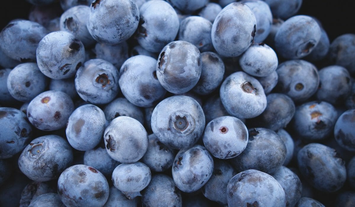 bluberries