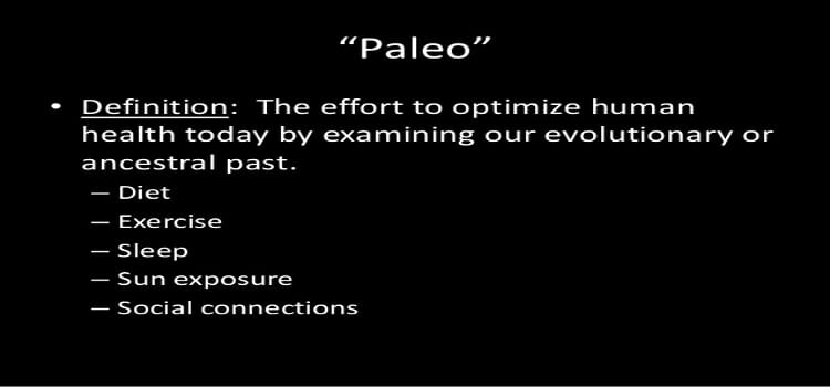 paleo-defined