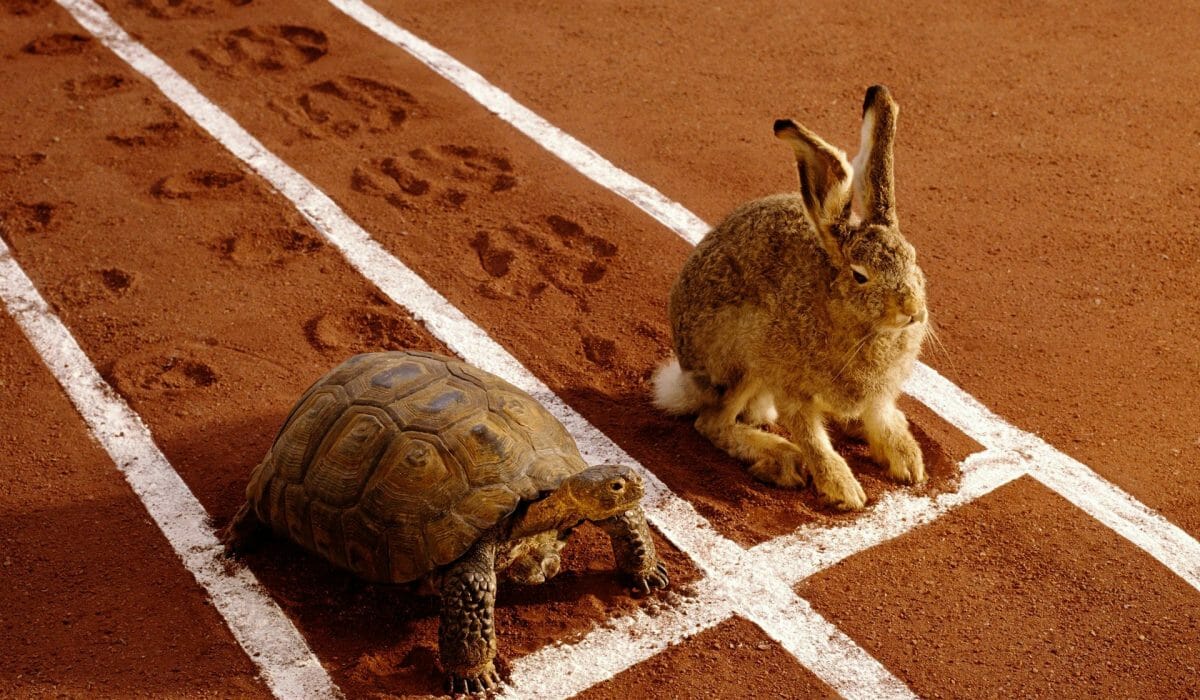 tortoise-and-the-hare