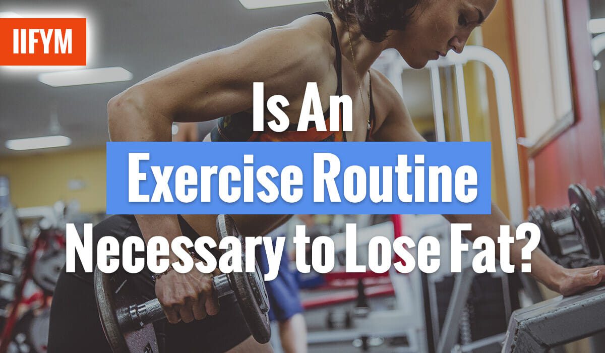 Is An Exercise Routine Necessary to Lose Fat?