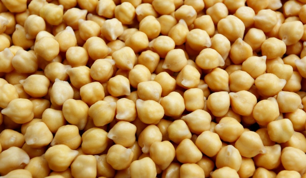 garbanzo-beans 7 Best Macro-Friendly Vegan Protein Sources