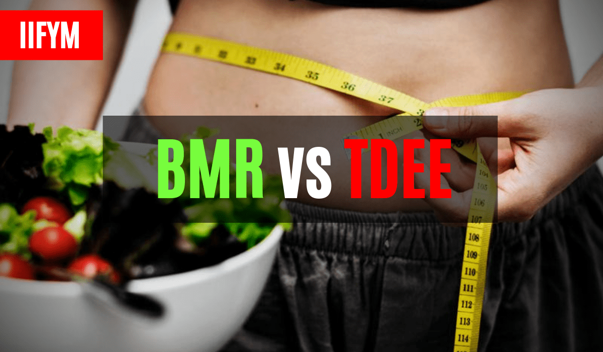 bmr tdee bmr tdee