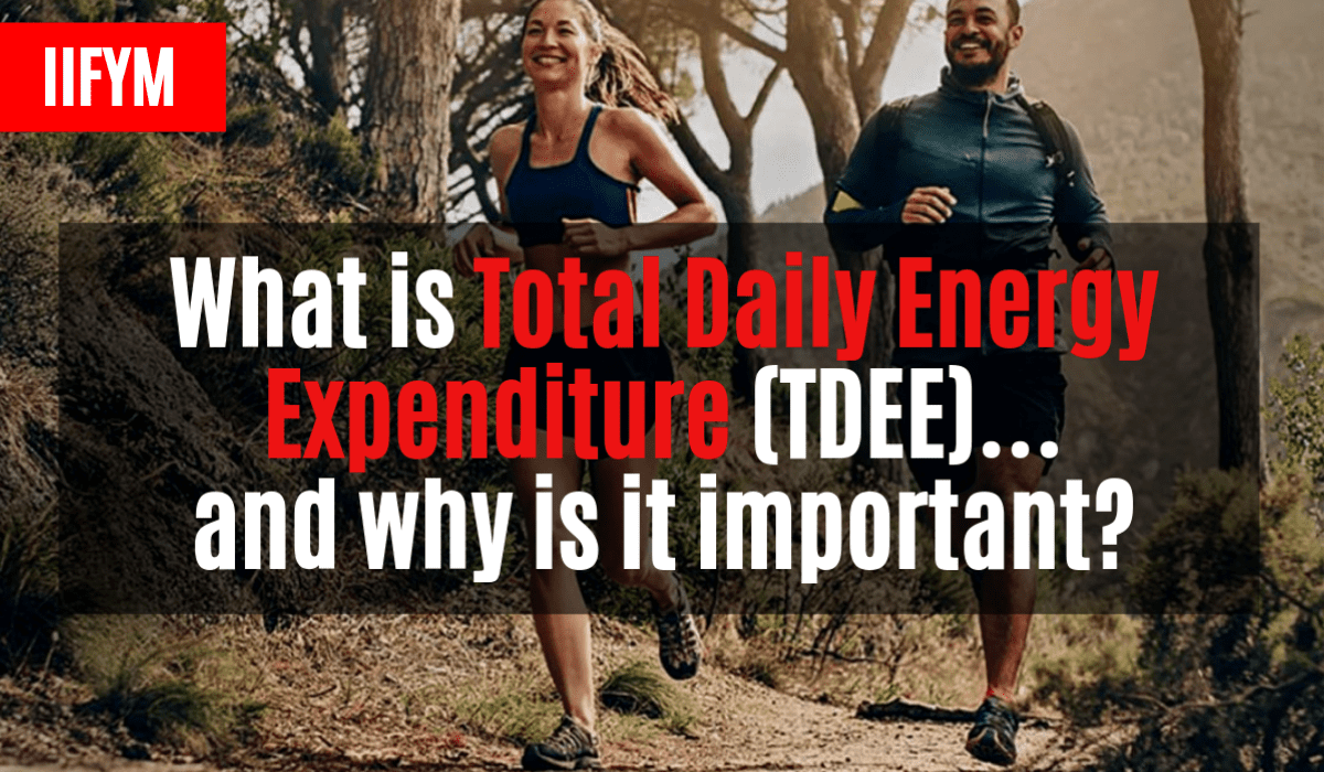 The Relationship Between Energy Intake Energy Expenditure and Weight