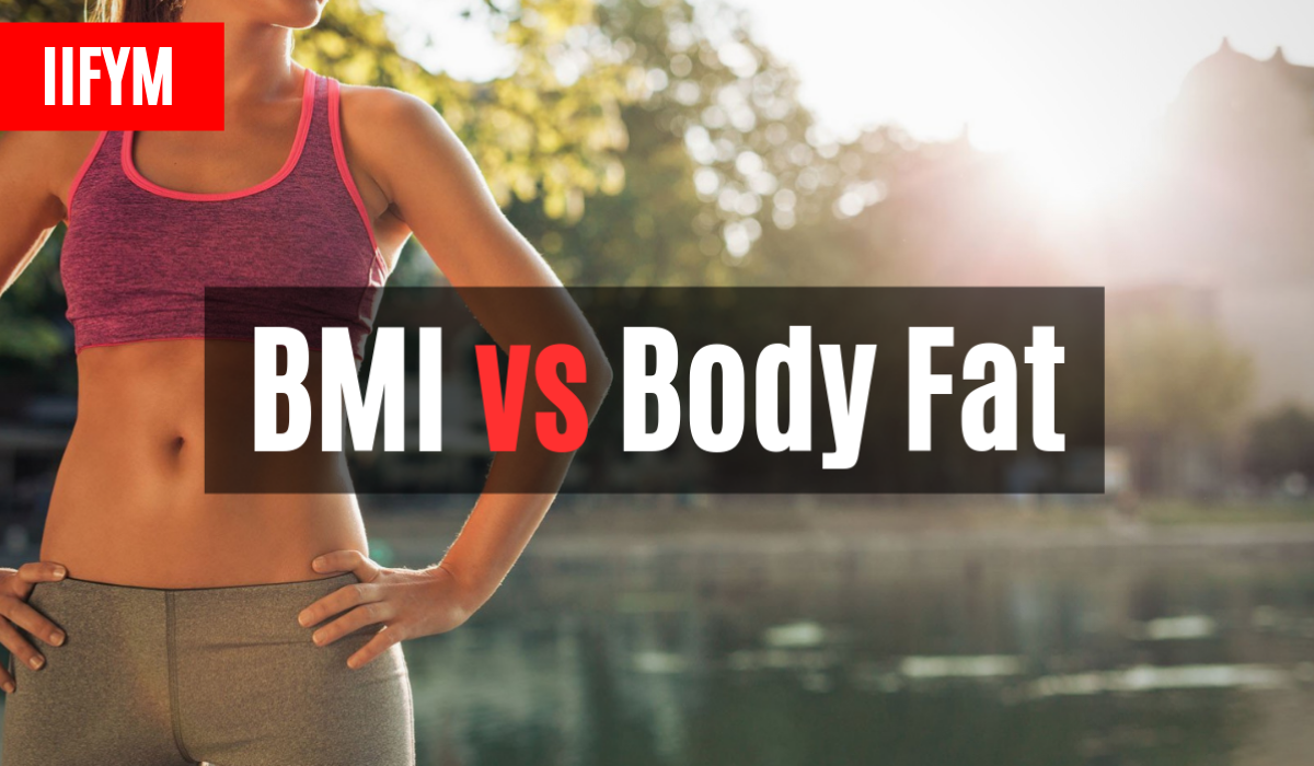 bmi vs body fat can i lose fat quickly