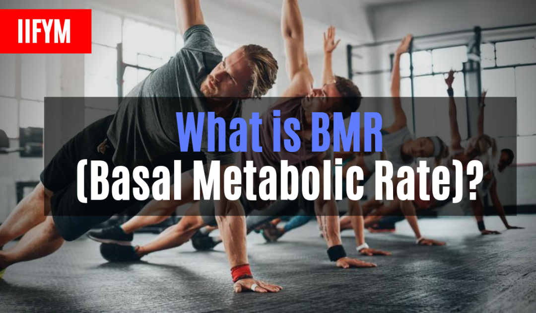 What's The Bmr Formula? Can you lose weight by eating your BMR?