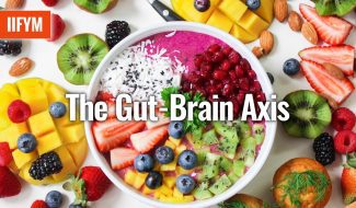 the gut brain axis